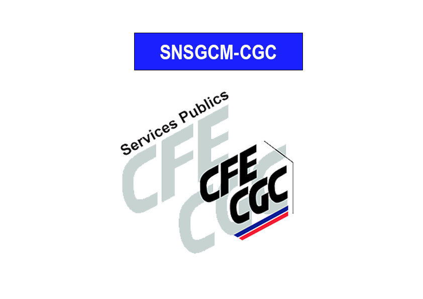 Logo Syndicat